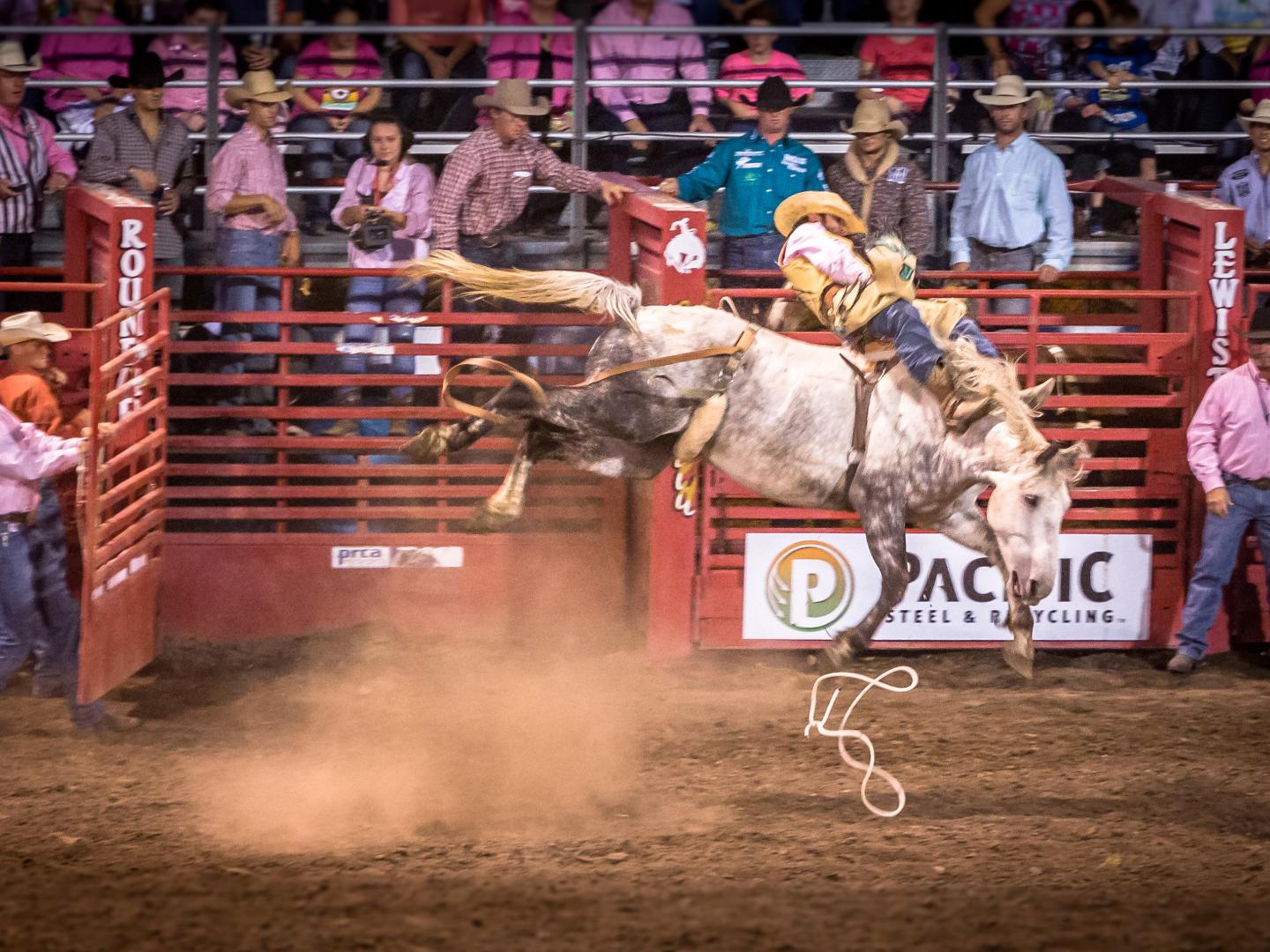 爱达荷州刘易斯顿一年一度的牛仔竞技比赛