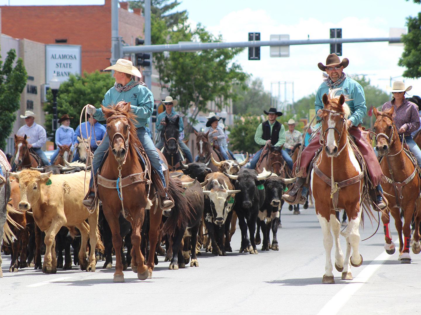 在一年一度的阿拉莫萨牛仔竞技表演活动上，马和长角牛在科罗拉多州阿拉莫萨的街道上游行