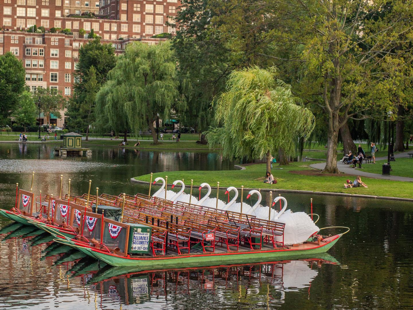 马萨诸塞州波士顿举办 Head of the Charles Regatta 赛艇大赛