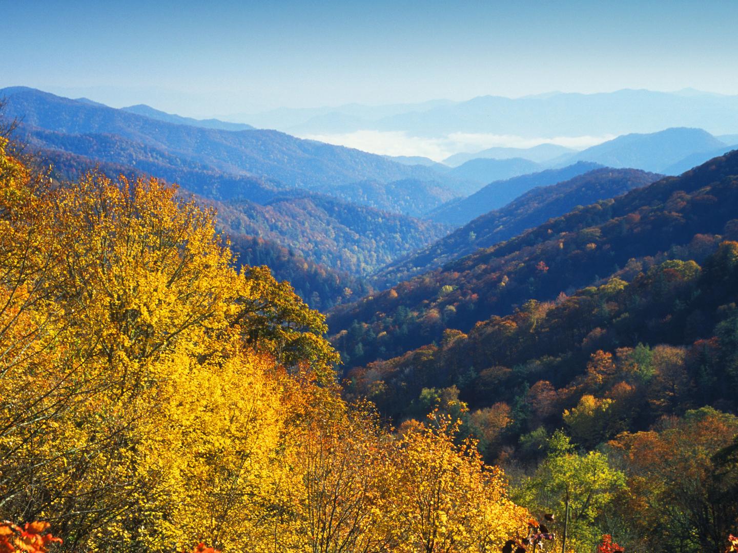 大烟山钮芳隘口的绚丽秋色