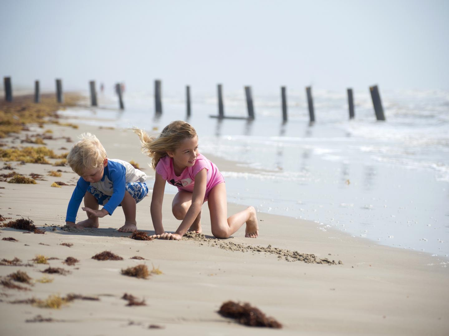 帕德里群岛国家海岸