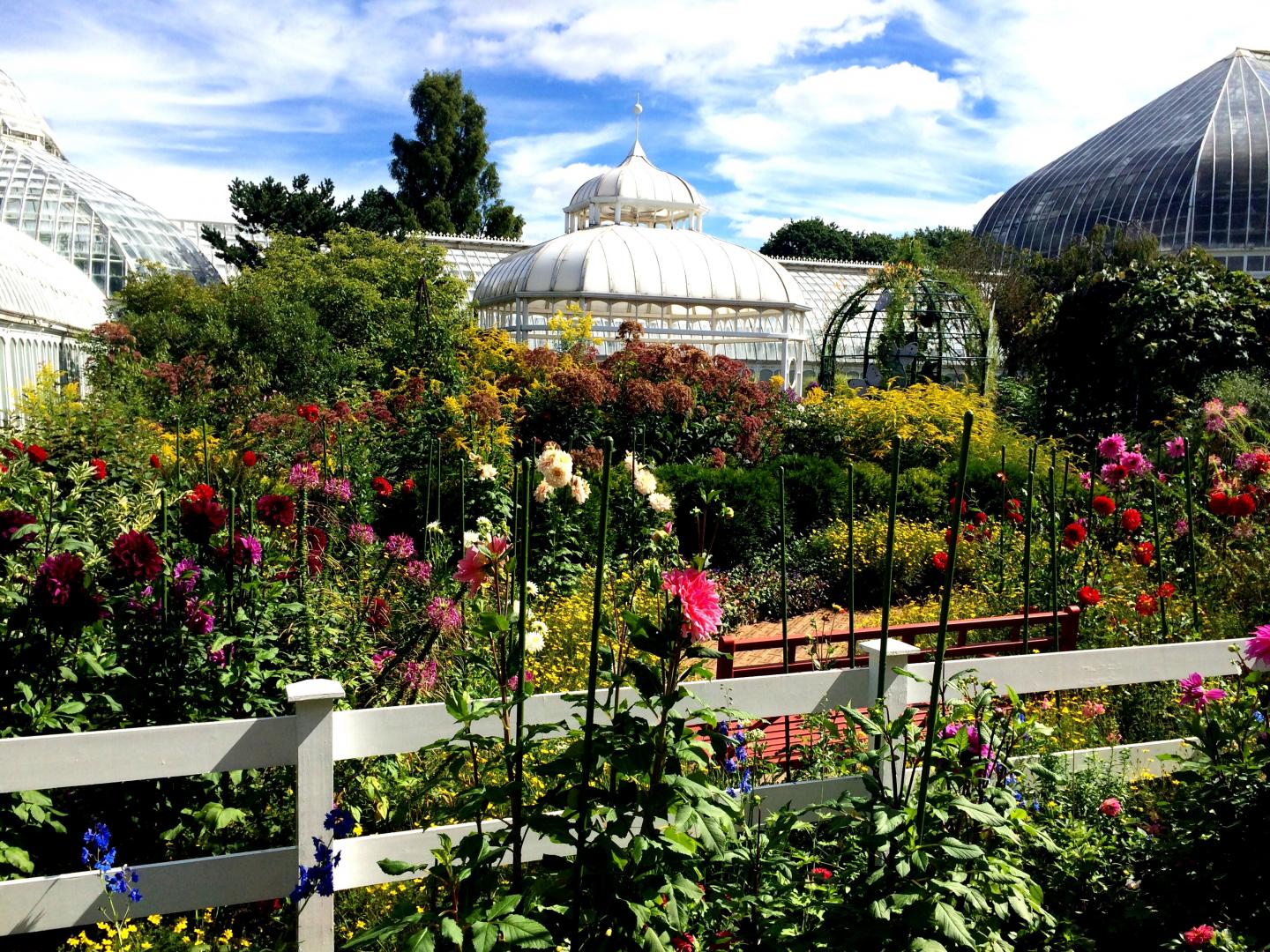 宾夕法尼亚州匹兹堡附近的菲普斯温室植物园
