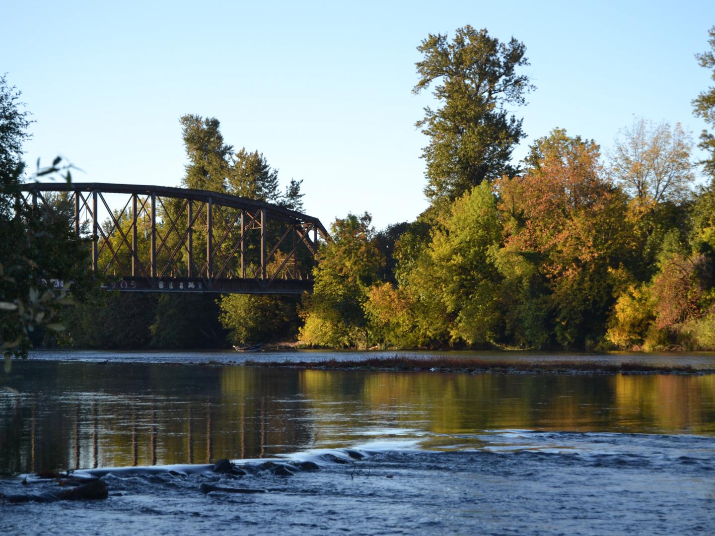 An idyllic scene in Springfield, Oregon