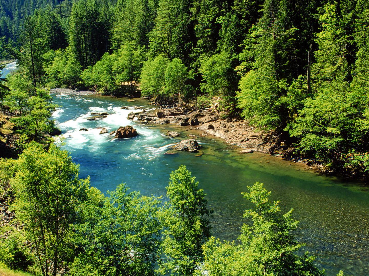 The Clackamas River as seen from the West Cascades Scenic Byway in Oregon