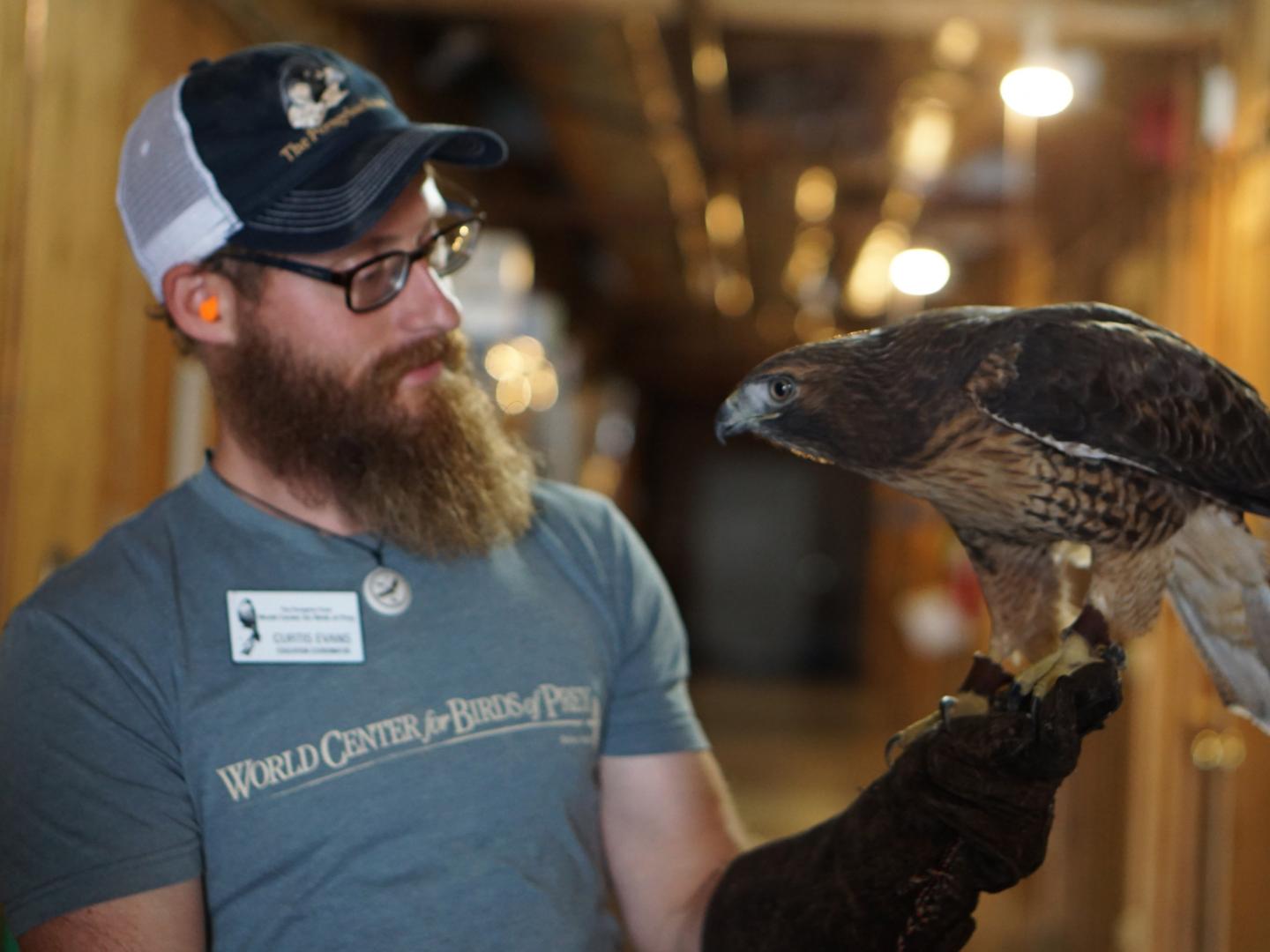 在猛禽世界中心与令人啧啧称奇的动物互动交流