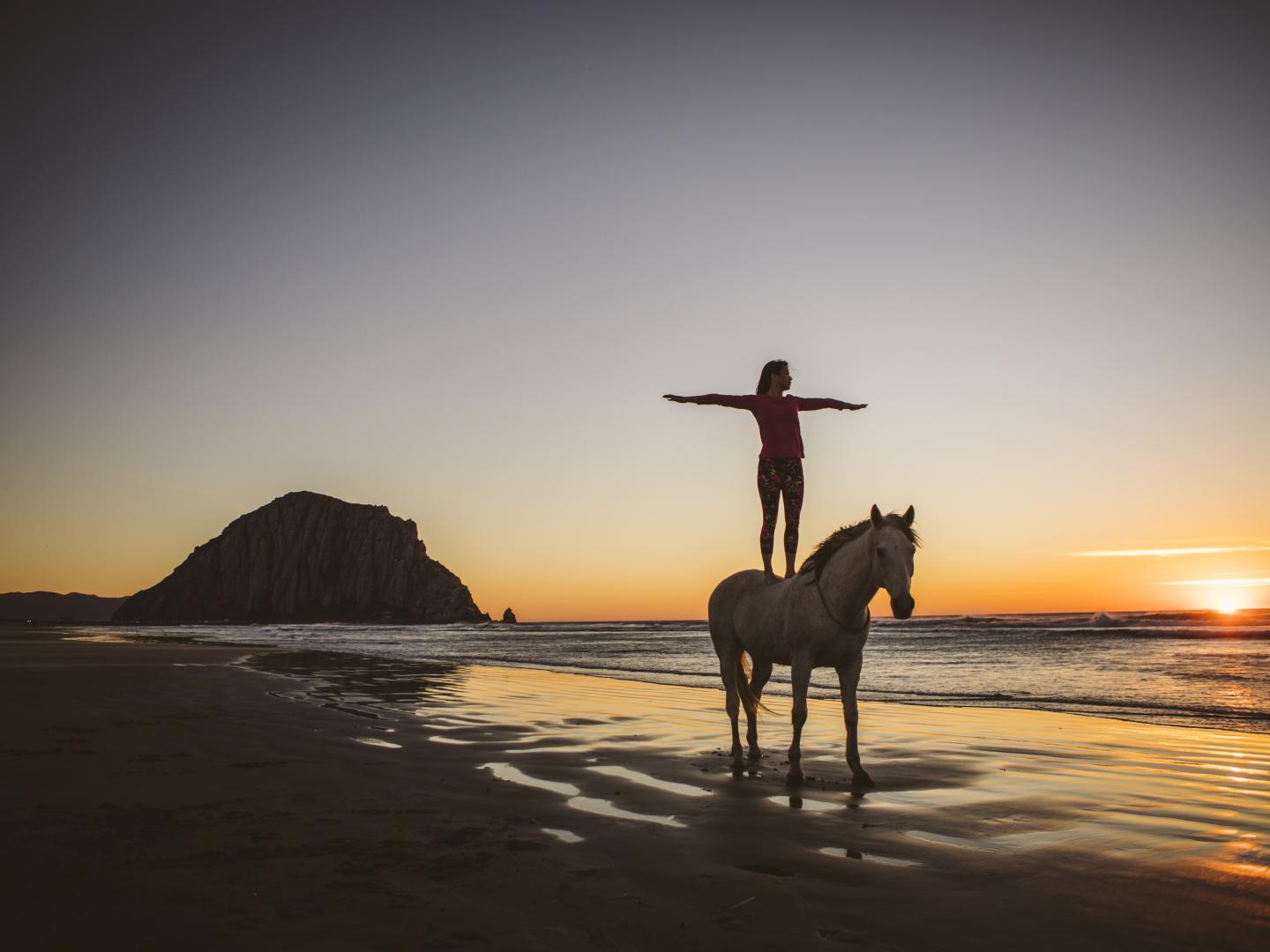 以加利福尼亚州莫罗湾为背景，骑在马背上拍照留念
