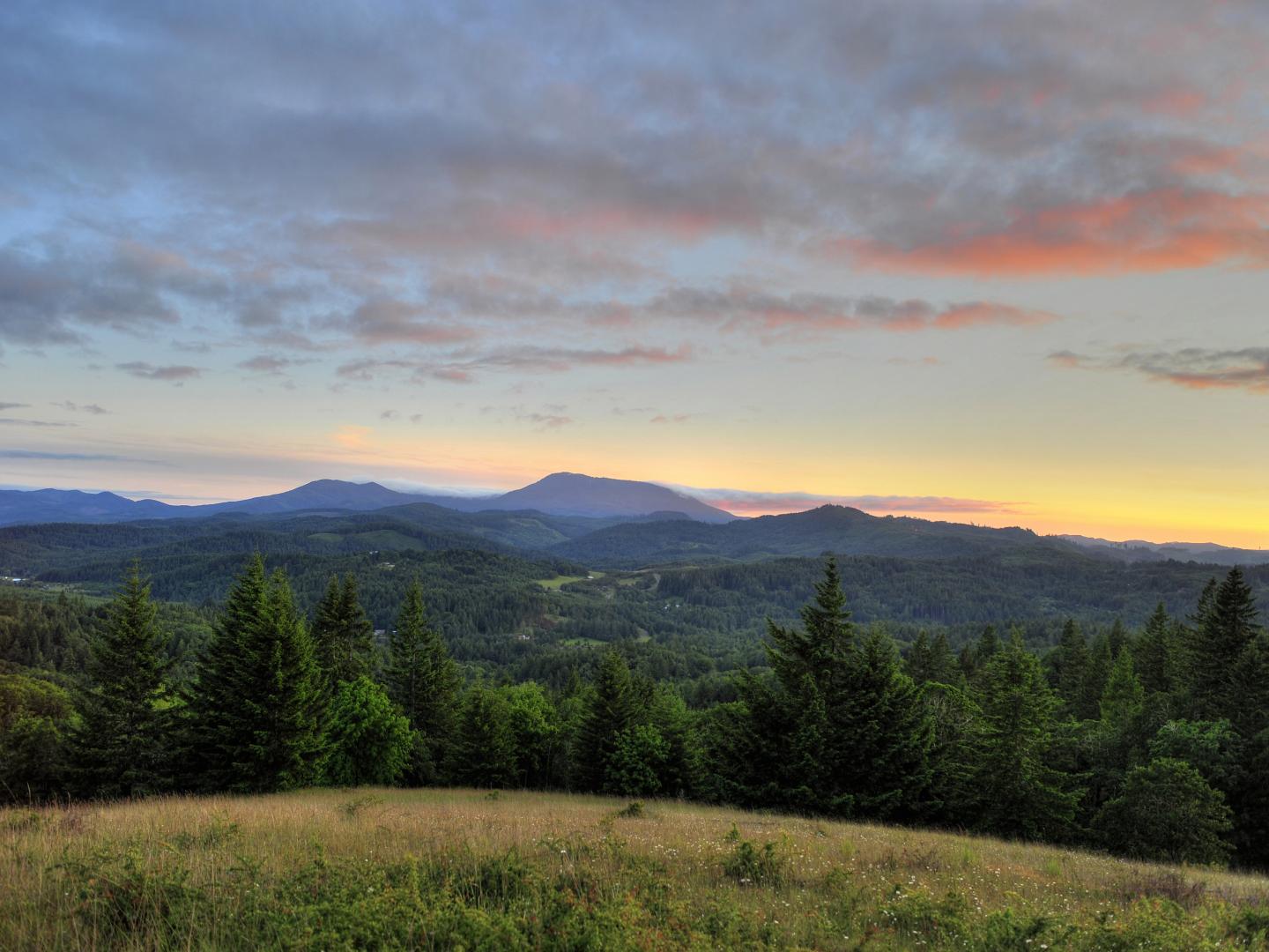 Gorgeous view from Marys Peak in Oregon
