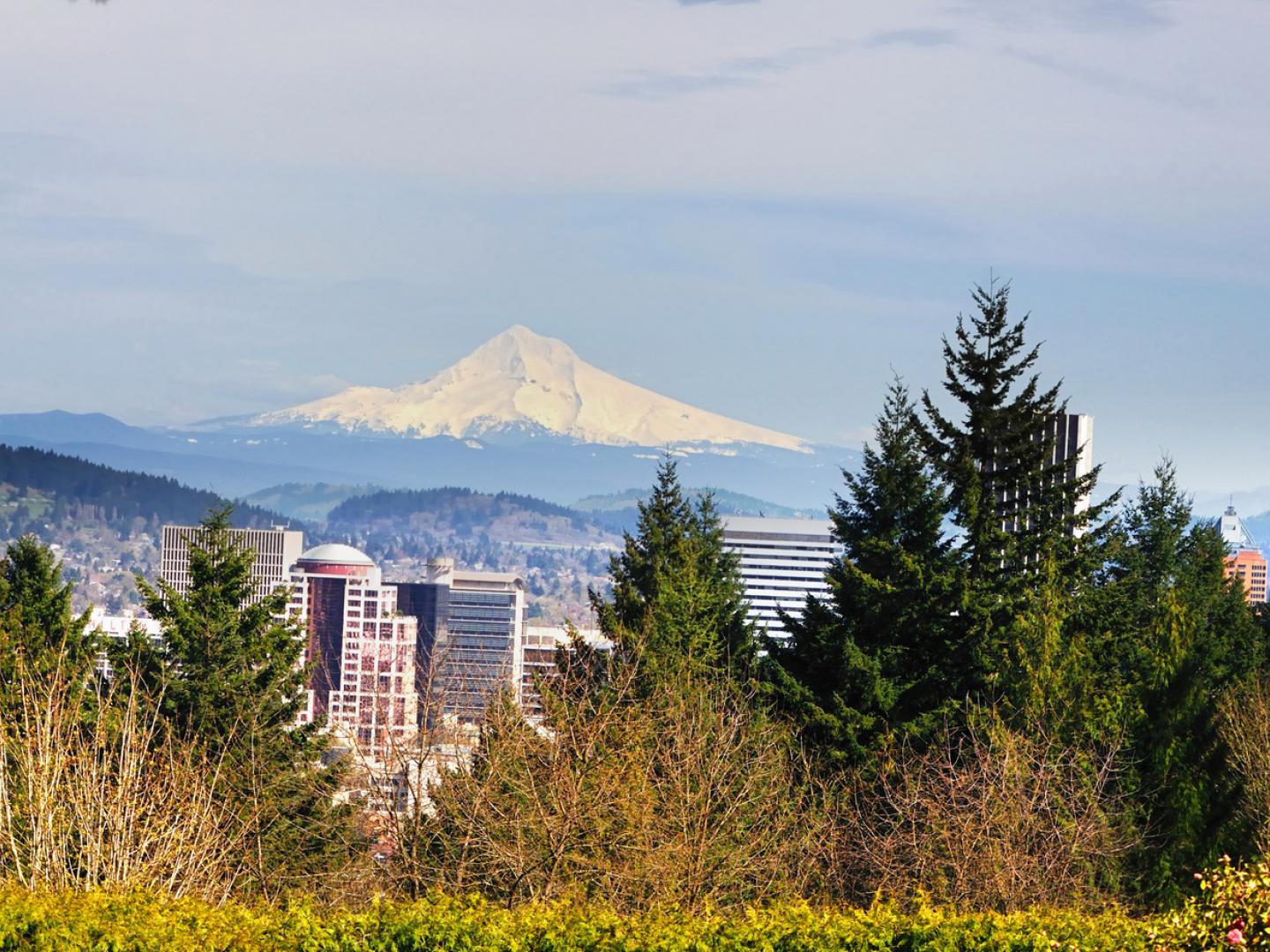 从华盛顿公园欣赏俄勒冈州波特兰的迷人风光