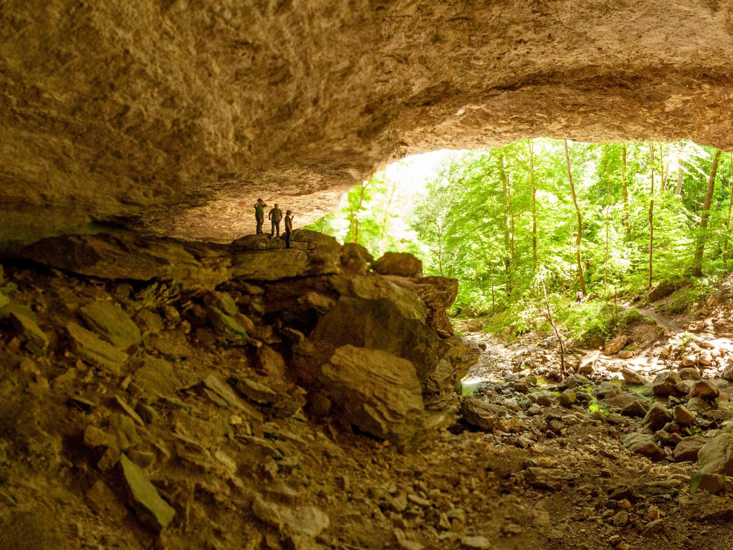 阿肯色州欧扎克国家森林公园，迷失山谷步道途中的科布洞