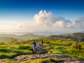 举家前往皮斯加国家森林的 Black Balsam Knob 山徒步旅行 举家前往皮斯加国家森林的 Black Balsam Knob 山徒步旅行
