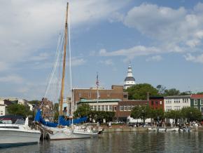 在市区海港，将美景尽收眼底