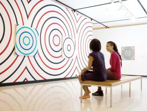 参观欧布莱-诺克斯美术馆的画廊