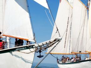 BaySail’s impressive Appledore Tall Ships setting sail