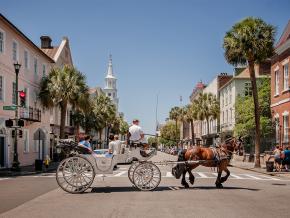 南卡罗来纳州查尔斯顿街头的马车
