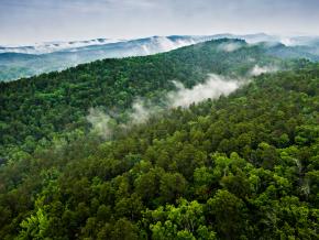 南方之旅官方信息 南方之旅官方信息