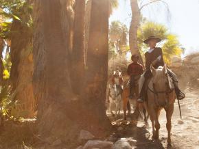 骑上马背穿越风景秀丽的印度峡谷，沿途欣赏淙淙溪流和原生棕榈树林