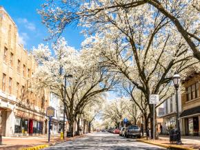 El centro de York brilla con hermosas flores en primavera El centro de York brilla con hermosas flores en primavera