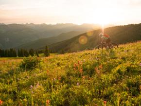 在野花烂漫的山间小径骑行