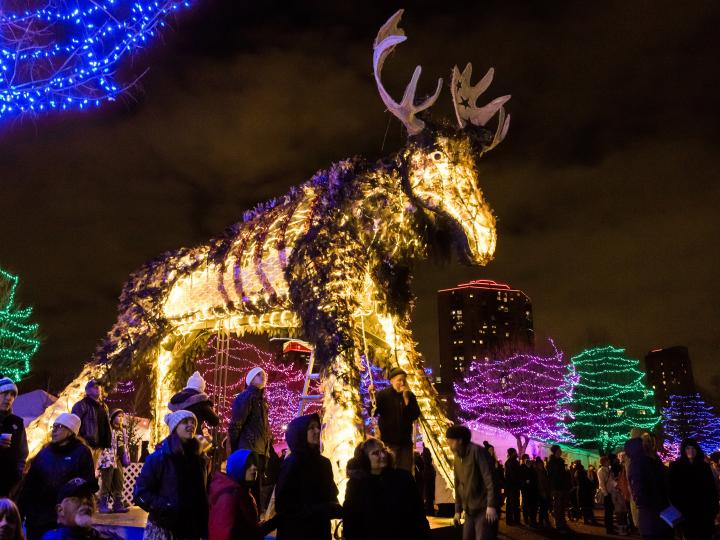 Un orignal brillant de mille feux au HoliDazzle
