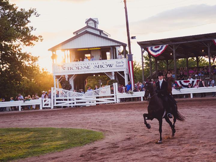 Un cheval et son cavalier en compétition au Shelbyville Horse Show de Shelbyville, dans le Kentucky