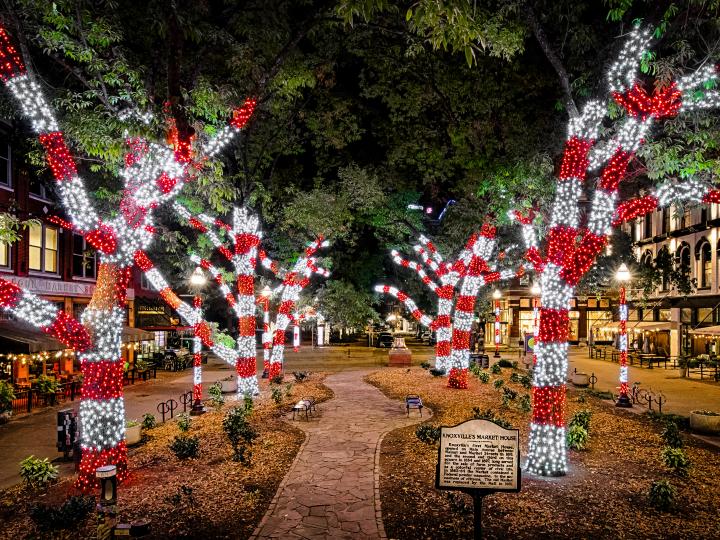 照亮田纳西州诺克斯维尔的节日灯光