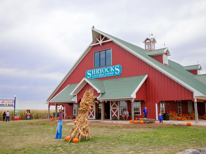 密苏里州富尔顿市 Calloway Farms 农场里的 Shryock’s Corn Maze 玉米迷宫举办盛大的秋日节庆