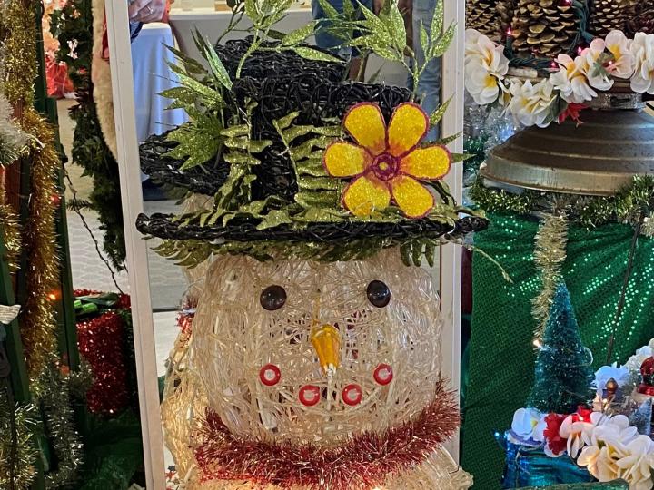 可爱岛 Lights on Rice Parade 灯光游行中的雪人灯饰