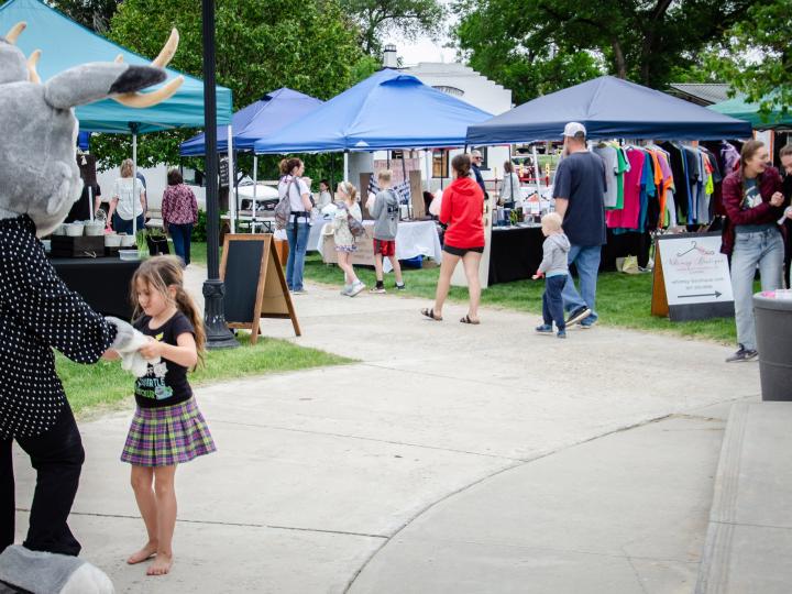 Festivités des Jackalope Days à Douglas, Wyoming