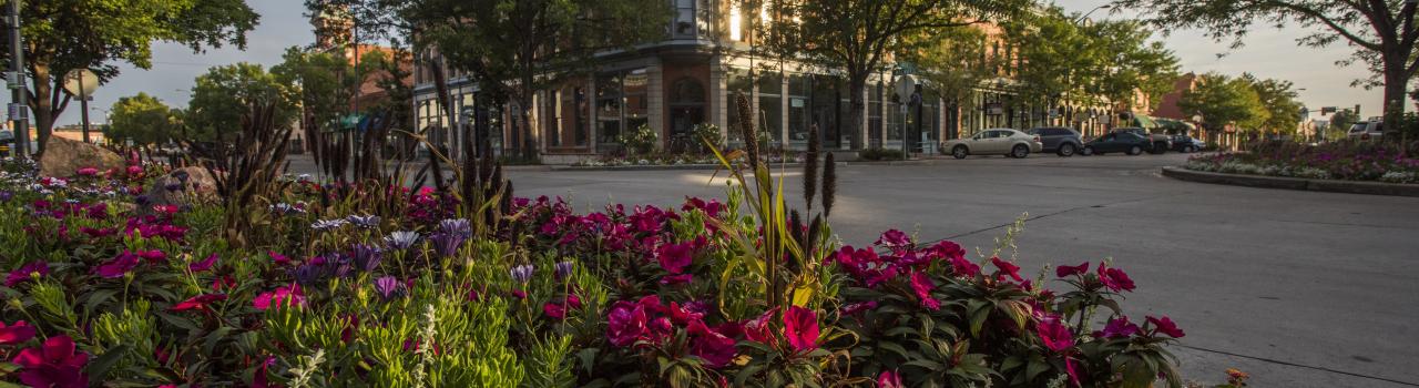 迷人的柯林斯堡市中心