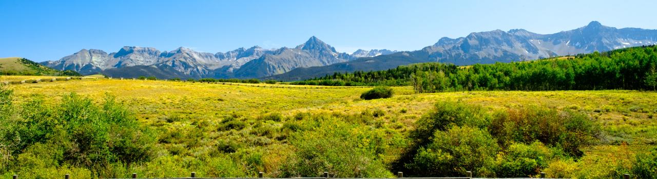 科罗拉多州阿斯彭附近的美丽牧场，辉映着秀丽山色