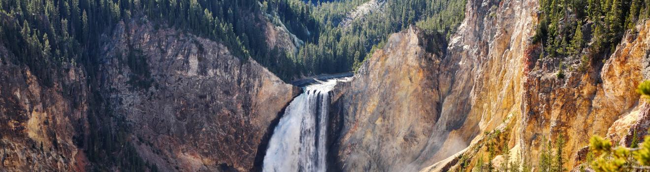 Yellowstone Falls cuts through the landscape of the national park