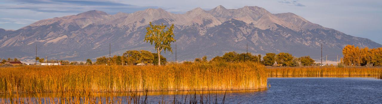 科罗拉多州阿拉莫萨附近的布兰卡野生动物栖息地