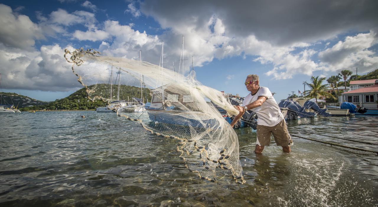一位渔民在弗伦奇敦撒网