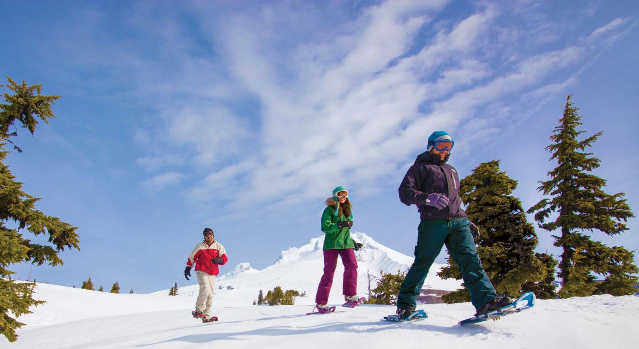 在林界小屋度假村滑雪区雪鞋健行