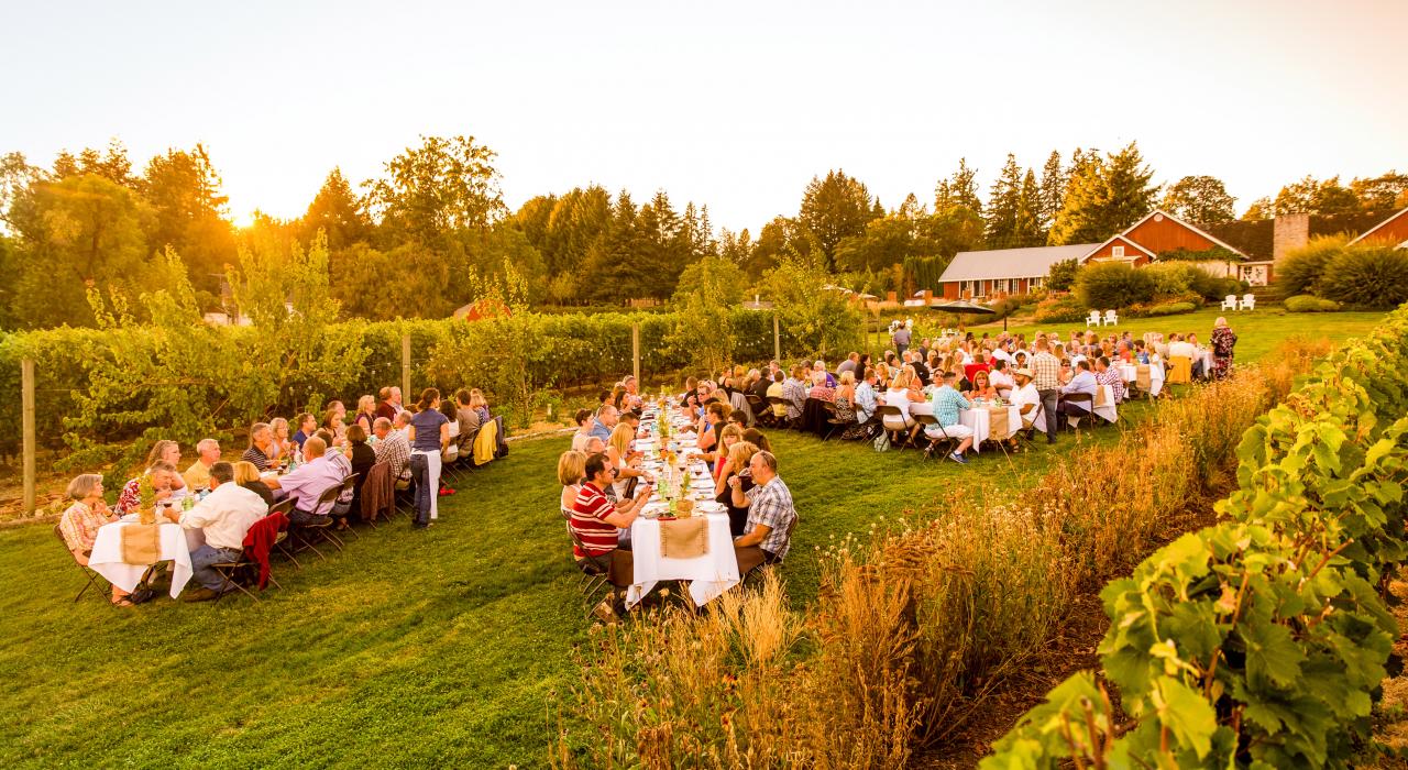 在泰拉维纳酒庄享用户外美食