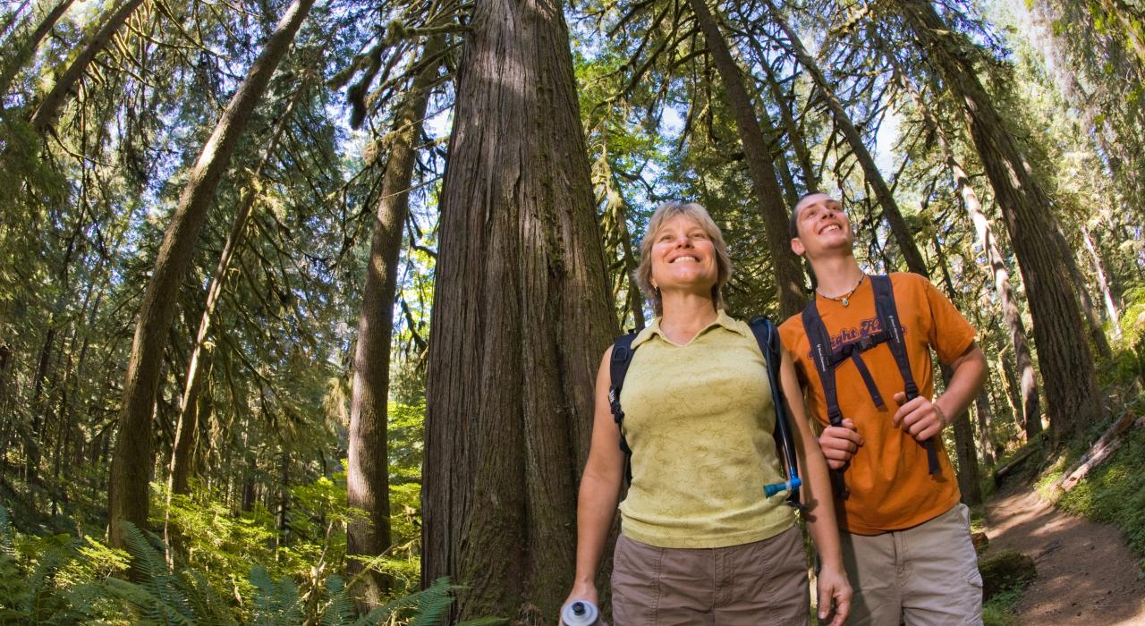 在胡德山国家森林徒步