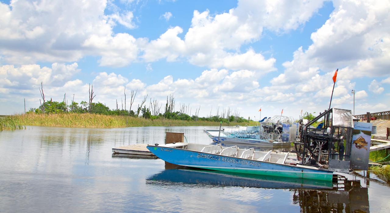 A view of the Florida Everglades