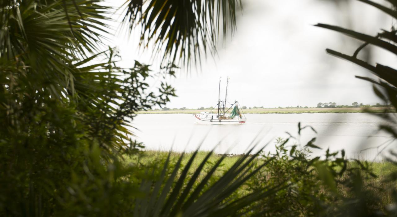 沿佐治亚州黄金群岛海岸前行的帆船