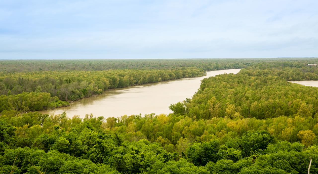 Views of the Mississippi River from the Natchez Trace Parkway