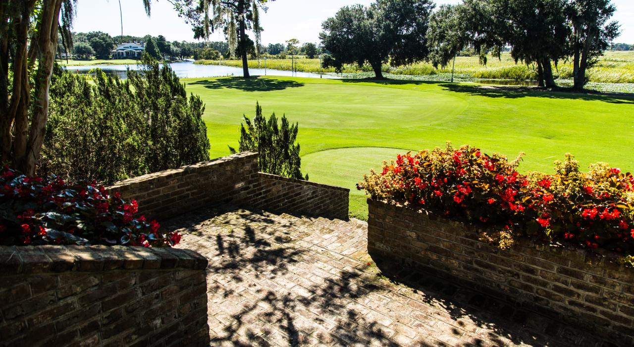 南卡罗来纳州美特尔海滩郁郁葱葱的绿色景观