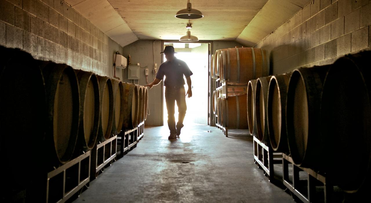 路易斯安那州西门罗的葡萄酒窖