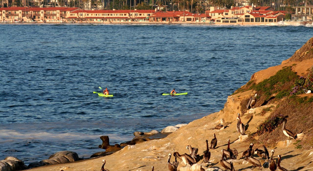 Kayakistas en La Jolla Cove cerca de San Diego, California