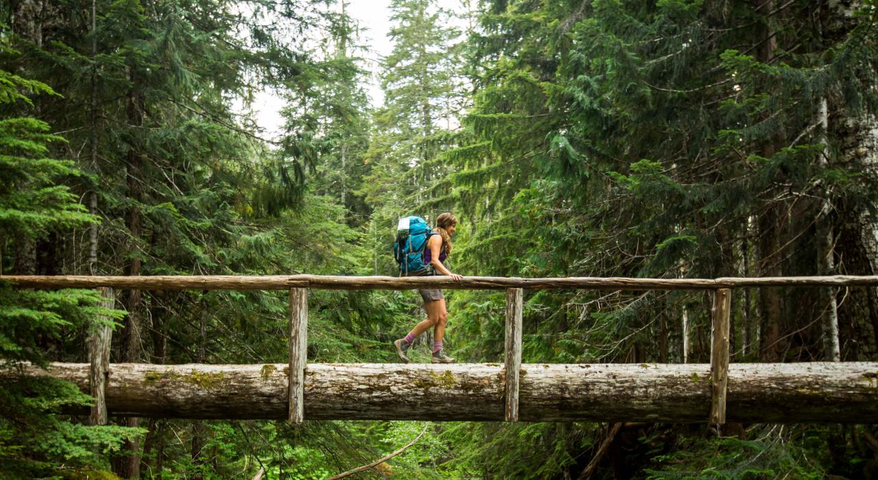沿奎纳尔特小径跨越一座独木桥走进雨林探索