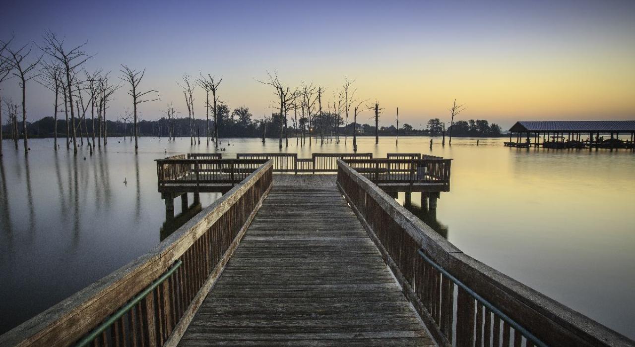 波弗蒂角如何成为联合国教科文组织世界遗产地