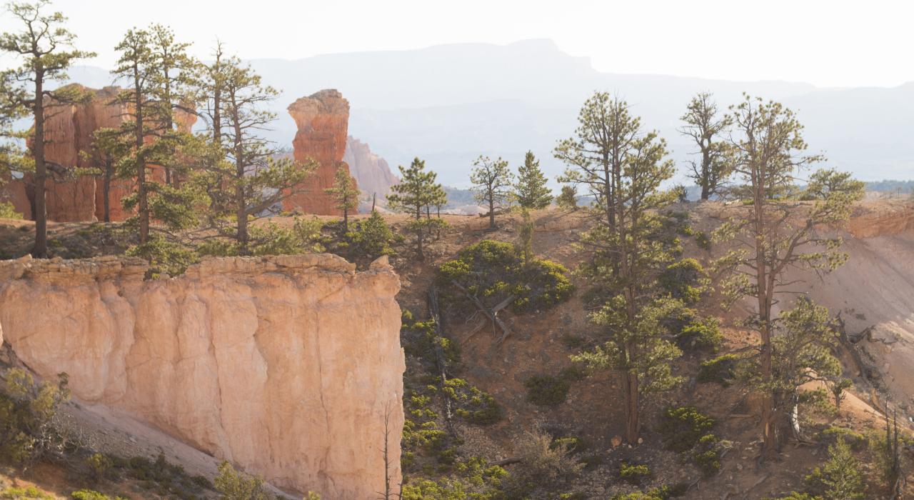 Torre rocosa de arenisca roja en el Parque Nacional Bryce Canyon, Utah