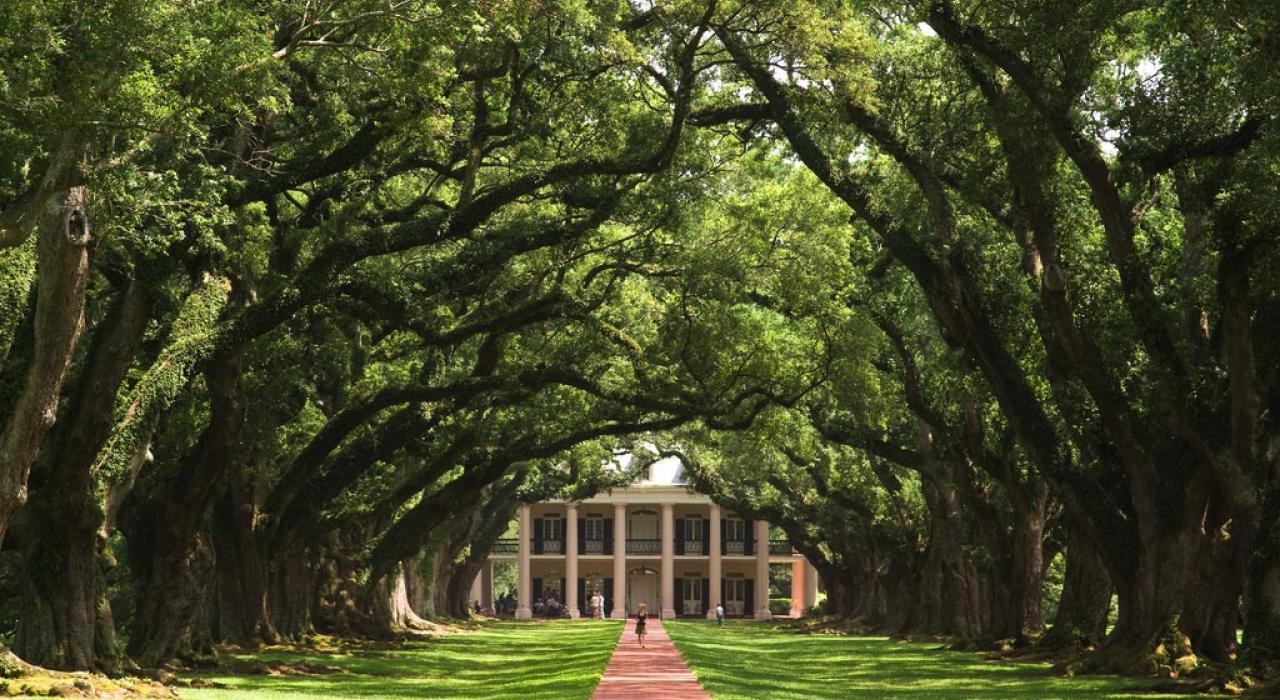 密西西比河的浪漫故事