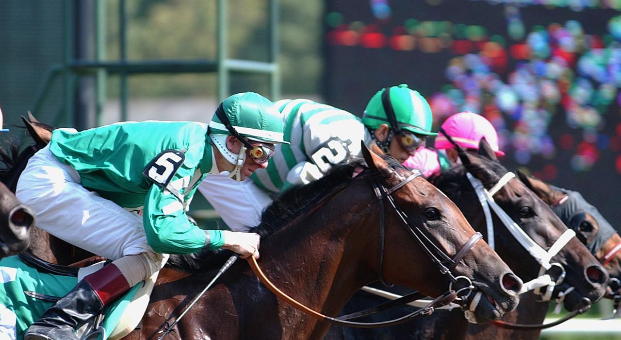 萨拉托加斯普林斯的赛马