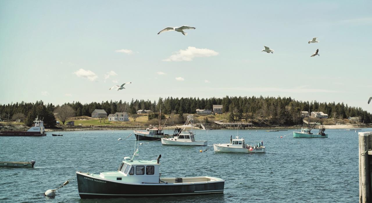 Fishing boats in Maine