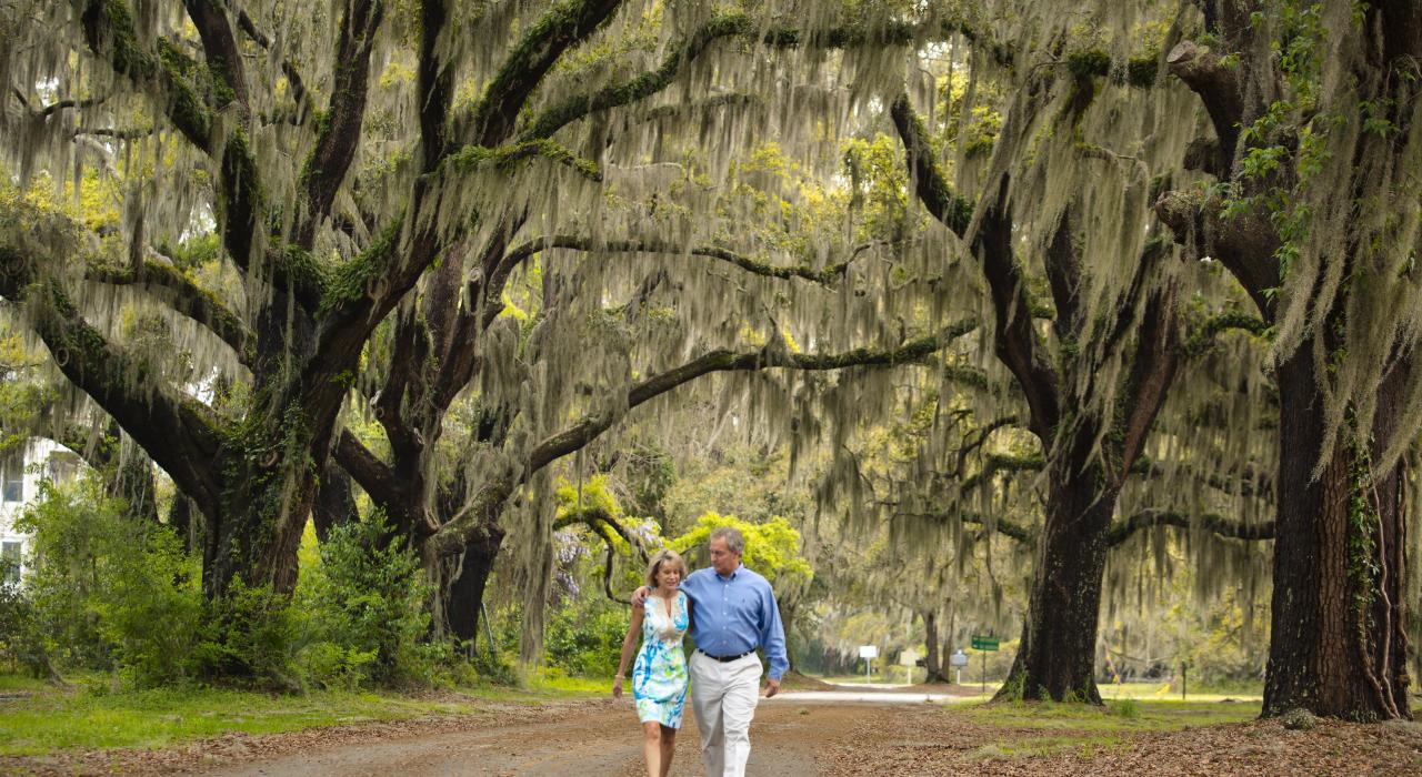 沿佐治亚州圣西蒙斯岛橡树小径悠闲漫步