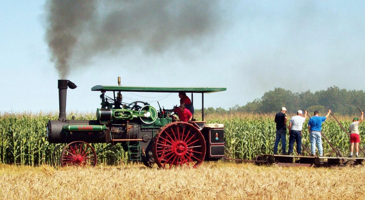 Pitching in during the corn harvest